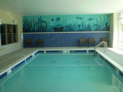  Indoor pool