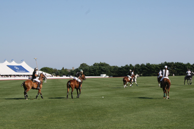 POLO MATCH  BLACKWATCH VS HEATHCOTE Farm