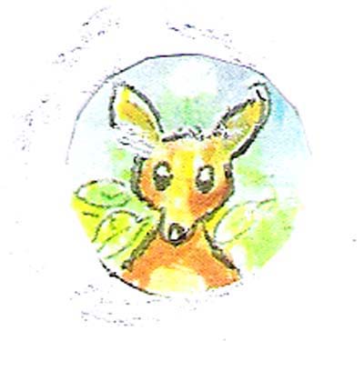  Deer