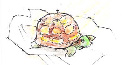 Turtle
