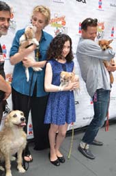 broadway barks