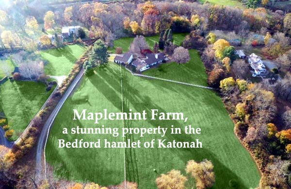 Maplemint Farm