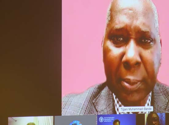Towards Africa Agenda 2063 and Agenda 2030 