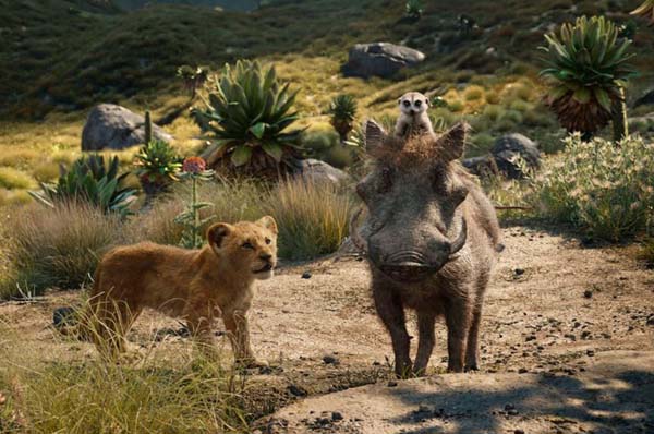 family film awards