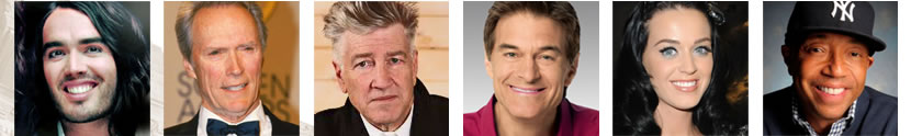 David lynch Foundation