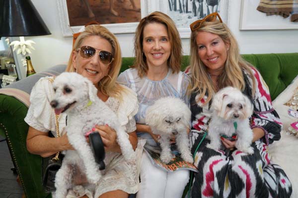 Peggy Adams Animal Rescue League