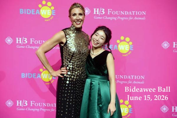 Bideawee_ball_main_picture_photo_banner