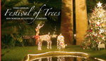 Festival of Tree "World Tour" Gala