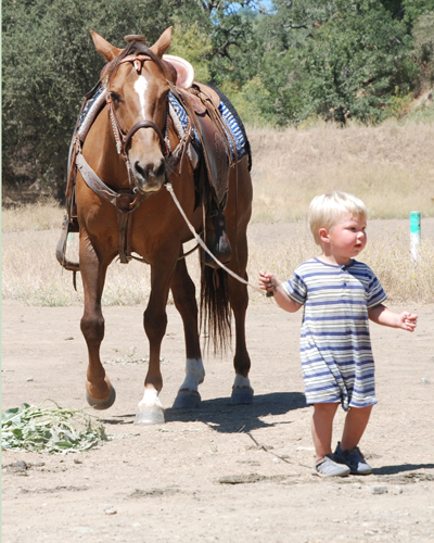 Luke Logan, 7th generation Potter Valley cowboy,