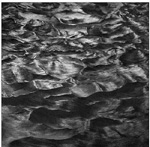 william siegal gallery
