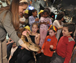 Attendees get up close to a snake at the American Museum of Natural History’s 2009 Family Party © AMNH/D. Finnin
