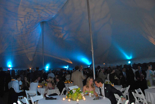 Central Park Conservancy "Taste of Summer"