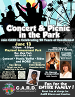 Concert and Picnic in the Park