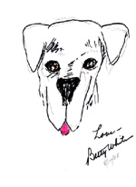 Betty White, Celebrities Doodle To Fight Hunger & Homelessness