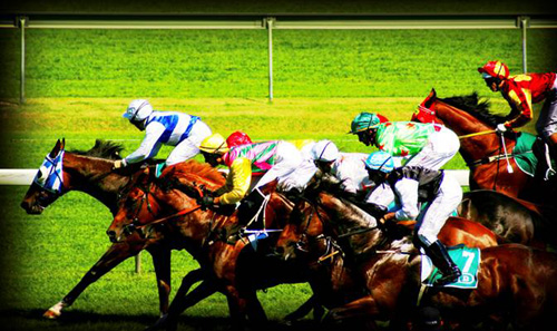 Grand Fun Night out at the [Horse] Races!