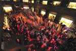american museum of natural history