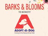 Barks and Blooms