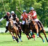17th Annual Mashomack International Challenge