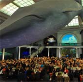 American Museum of Natural History