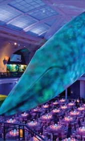 The 18th Annual Food Allergy Ball