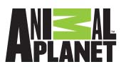 Animal PLanet