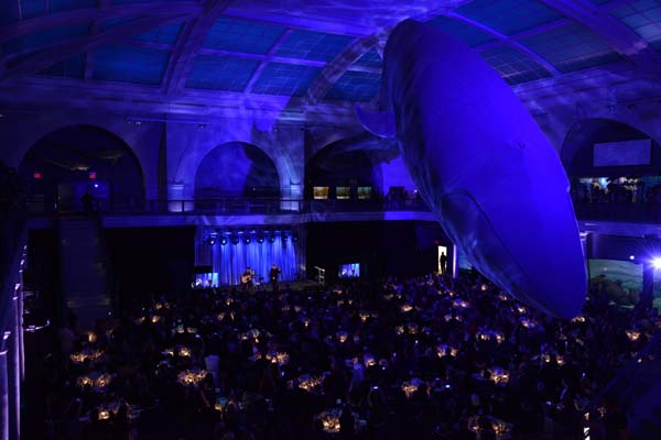 Museum Gala AMNH/C. Chesek