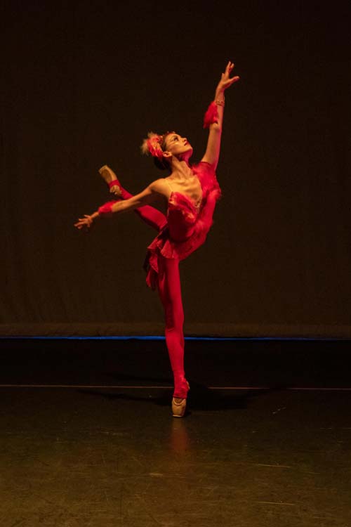 Newport Contemporary Ballet
