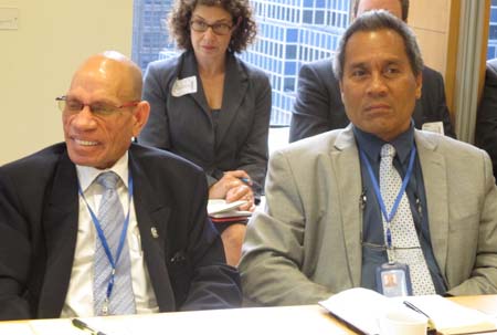 Mr. Fred Sarufa, Counsellor, Permanent Mission of Papua New Guinea