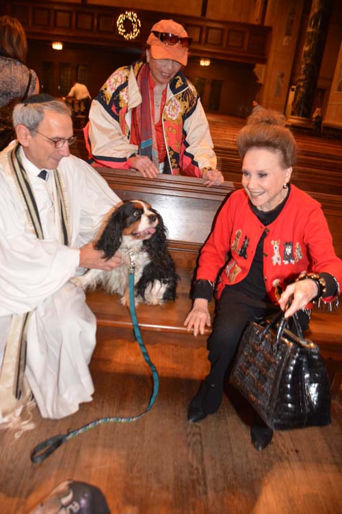 Central Synagogue Rabbi Emeritus, Pup William, and Thank You .  Photo by:  Rose Billings/Blacktiemagazine.com