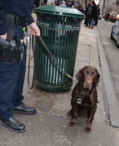 Bob Canine Unit. Photo by: Rose Billings/Blacktiemagazine.com