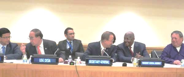 Mr. Nikhil Seth, Director, Division for Sustainable Development, DESA, Executive Director (Appointed) UNITAR