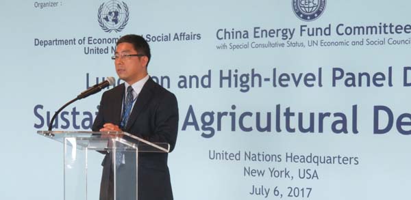 Haitian Lu, Chief of Office, Office of the Under-Secretary-General, UN DES