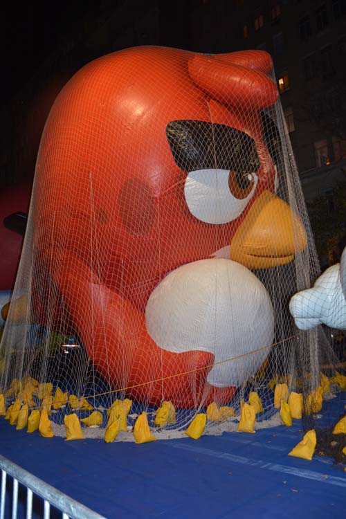 Angry Bird (Red). Photo by: Rose Billings/Blacktiemaagzine.com