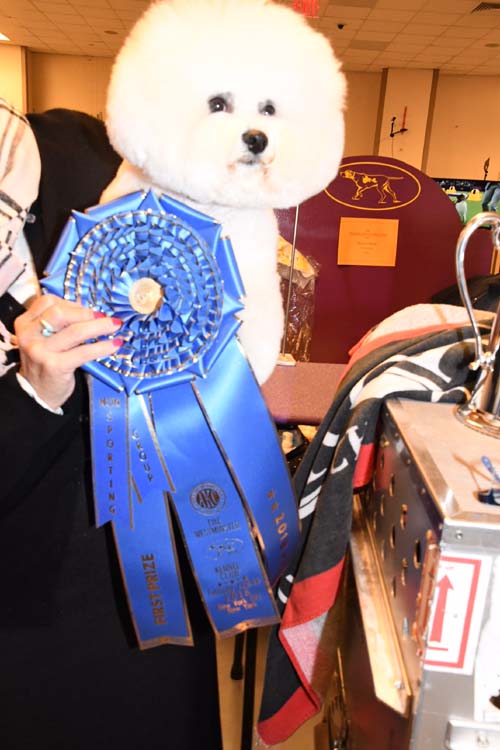 Flynn The Night before winning Top Dog. Photo by: Rose Bilings/Blacktiemagazine.com