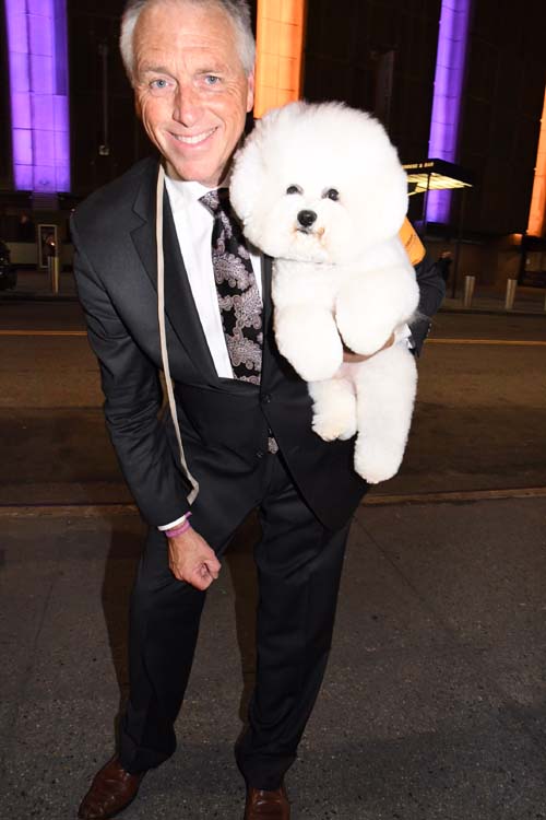 Flynn The Bichon Frise Top Dog at The 142 Westminster 2018 Top Dog with his Expert Handler Bill McFadden Congratulations!. Photo by: RoseBillings/Blacktiemagazine.com