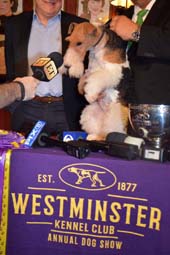 Top Dog King.  Photo by:  Rose BillingsBlacktiemagazine.com