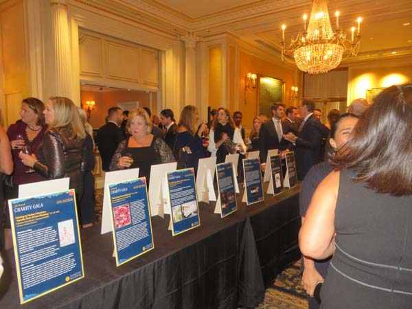 Auction Items. Photo by: Joyce Brooks/Blacktiemagazine.com
