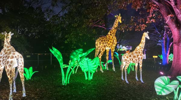 LuminoCity Festival
