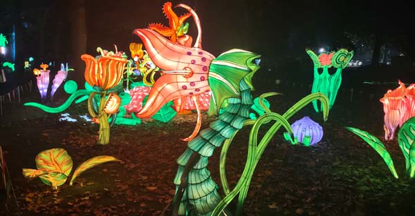 LuminoCity Festival