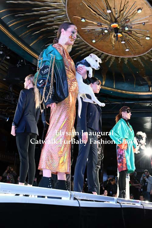 Elysian Inaugural Catwalk FurBaby Fashion Show