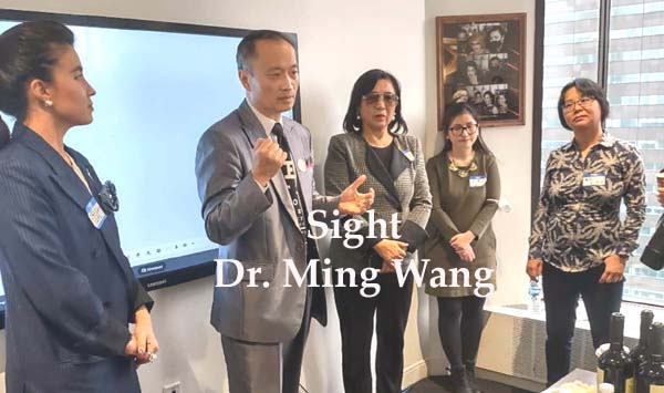Sight - Dr. Ming Wang, Dr. Jeannie Yi, NYC