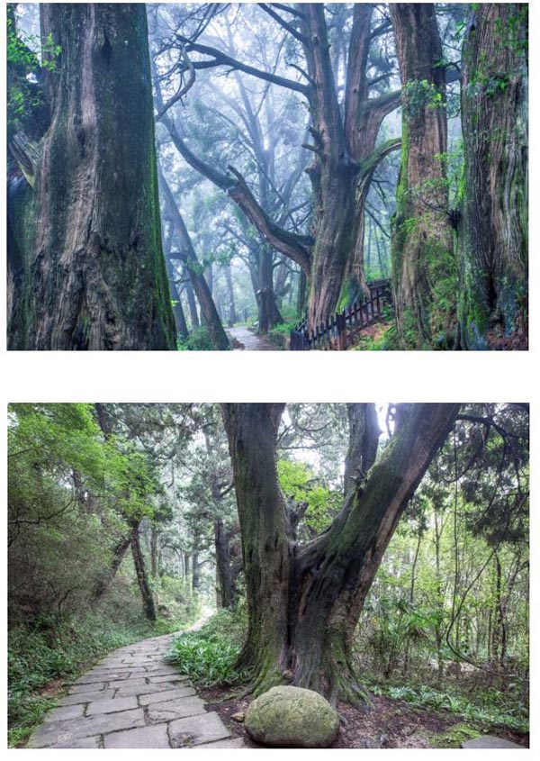 The Jianmen Shu Road 