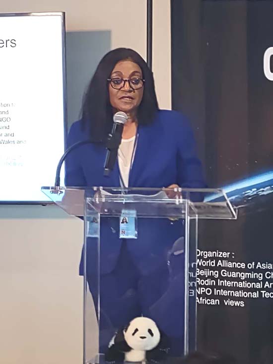 Ugo Eze, Ugo Eze Foundation