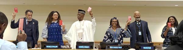 Africa Day at the UN