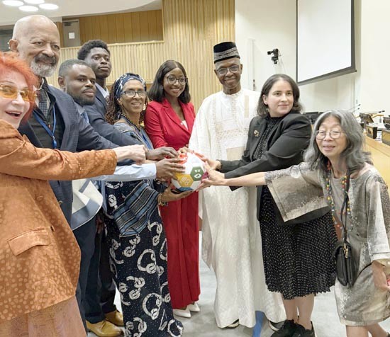 Africa Day at the UN, Donna Tsufura