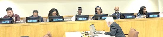 Africa Day at the UN - Panel
