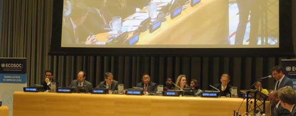 “Principles and guidelines governing UN associated partnerships”