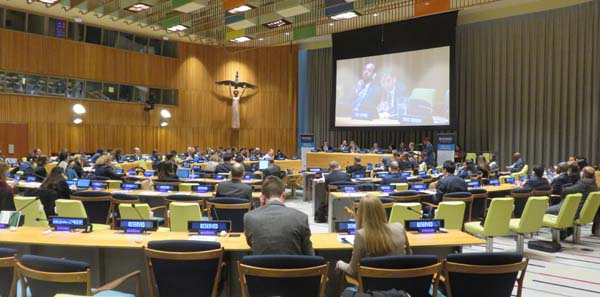 ecosoc 2017