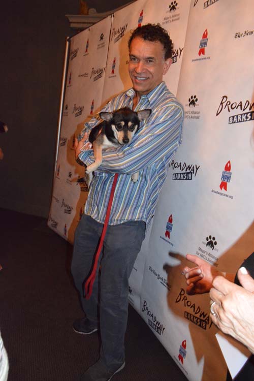 Brian Stokes Mitchell (Ragtime and Shuffle Along). Photo by: Rose Billings/Blacktiemagazine.com