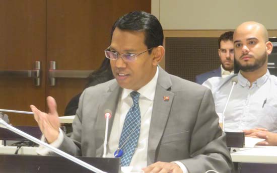 H. E. Mr Ahmad Sari, Permanent Representative